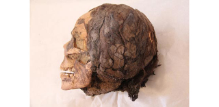 Illustration for article titled Skull Of 3,300 Year-Old Egyptian Woman Found With Hair Extensions